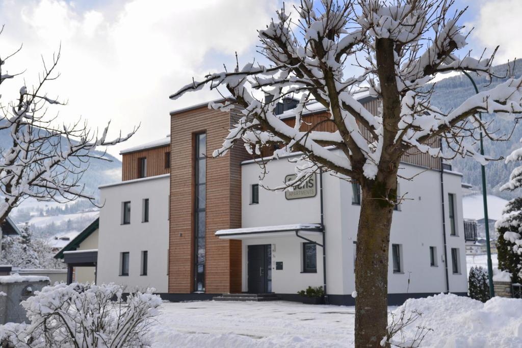 באד הופגסטין Fuchs Apartments - Inklusive Eintritt In Die Alpentherme Gastein מראה חיצוני תמונה